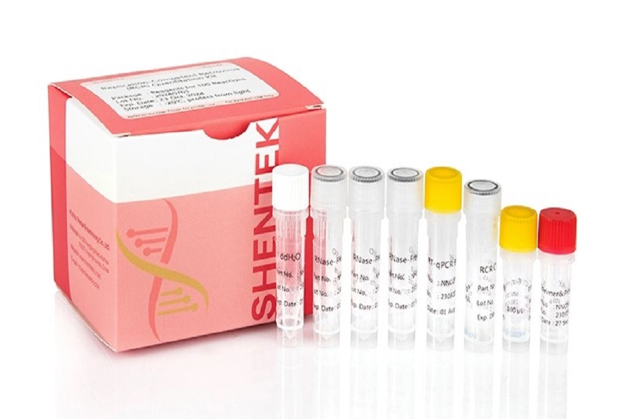 Haupt methoden der RCR-Prüfung