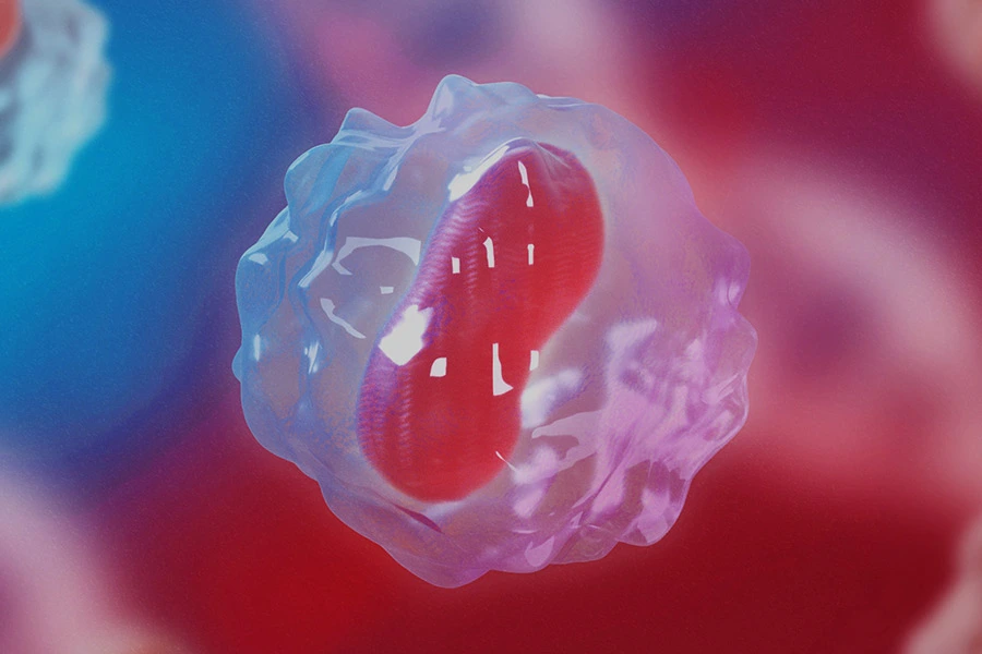 Rest-Wirt-DNA-Risiko bewertung