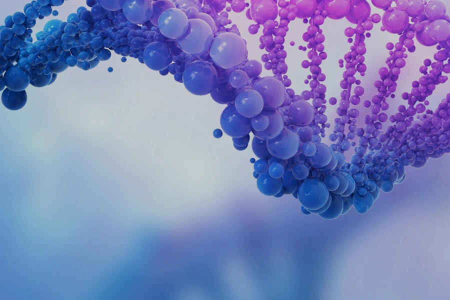 Rekombinante Proteine & therapeut ische Antikörper