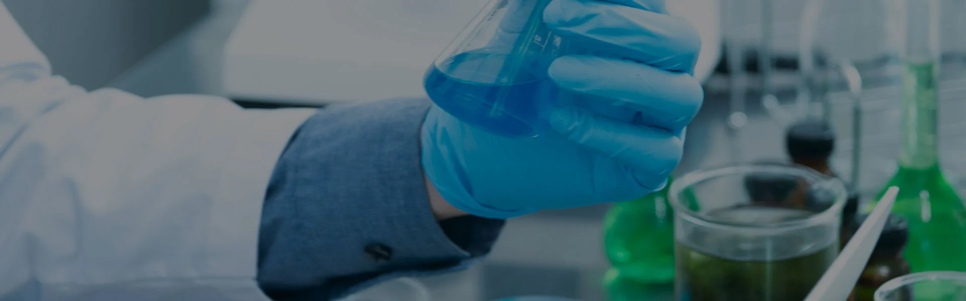 Fordern Sie ein Angebot an