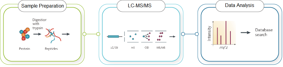 customization customization