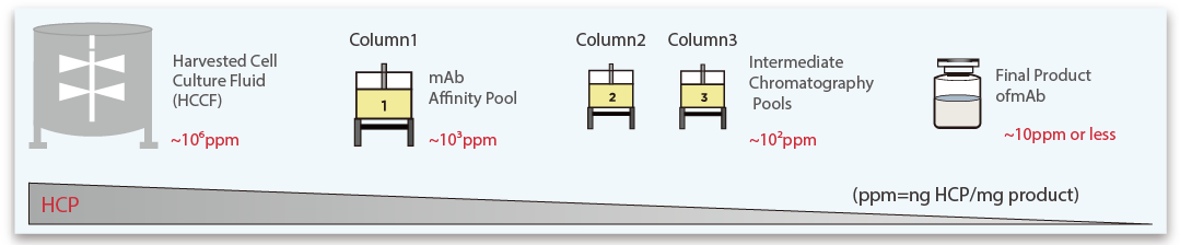 shentek customization shentek customization