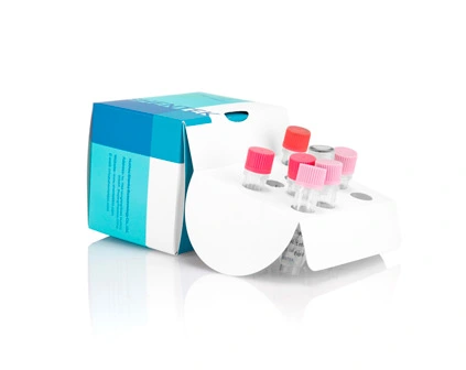 Rest-PG13 DNA-Quant iation Kit