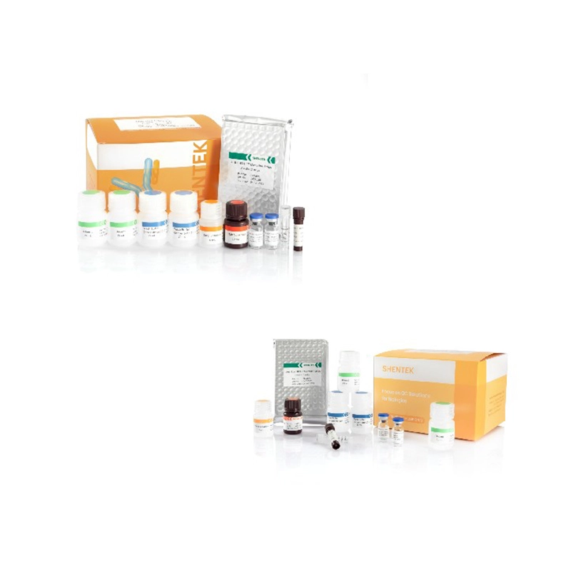 Rest wirts zell protein quant ation