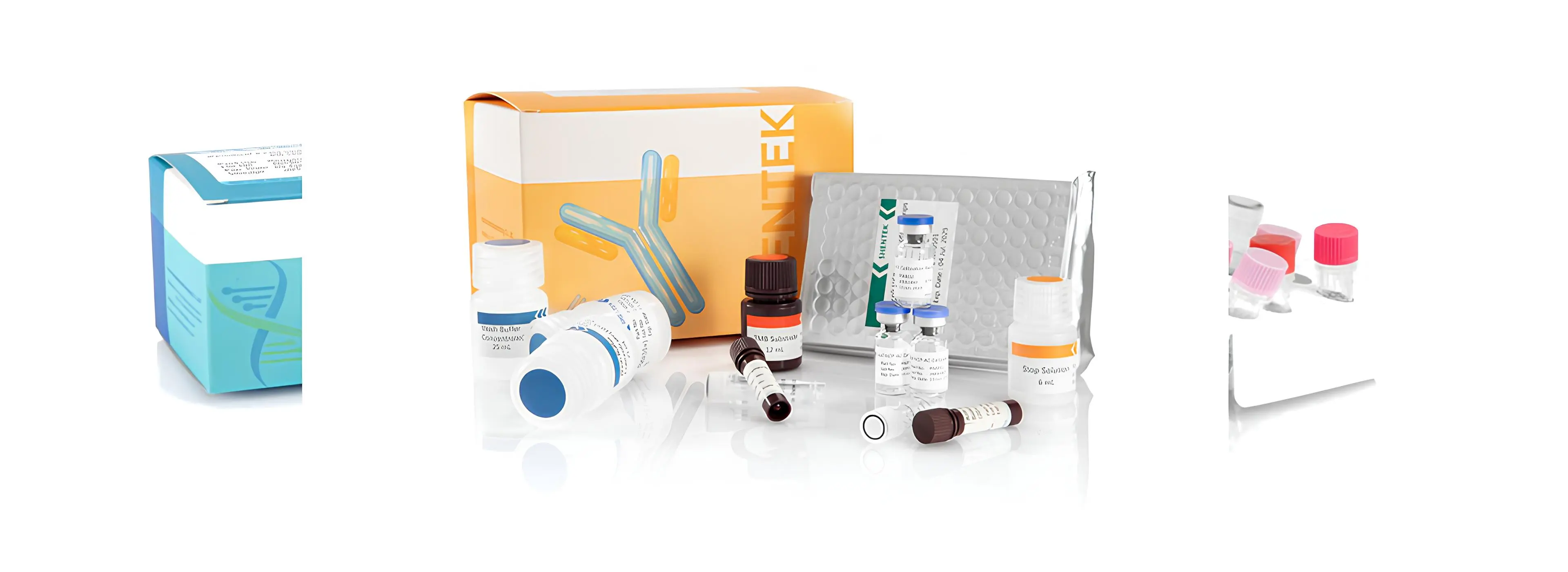 Prozess-Verunreinigung-Assay