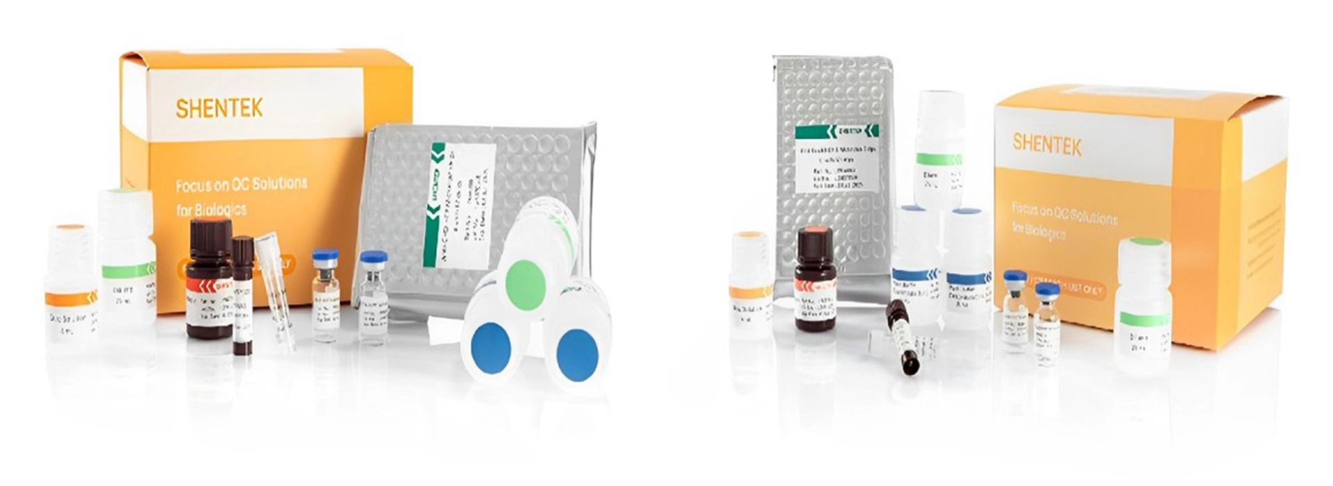 Rest wirts zell protein quant ation