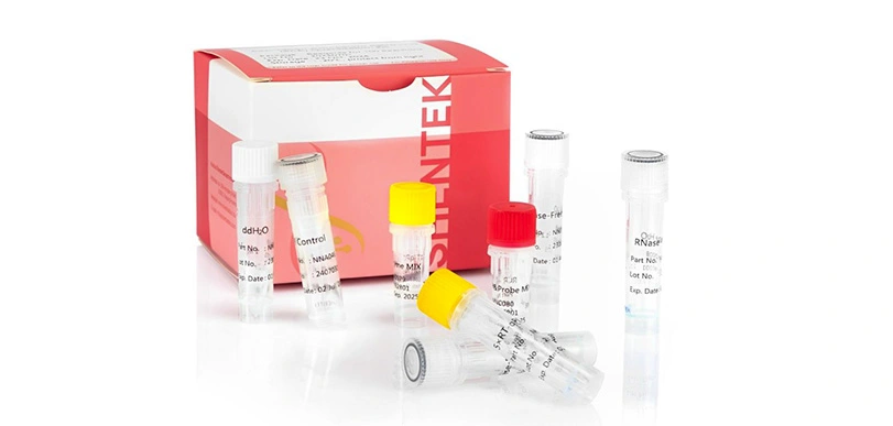 Replikation kompetente Virus quant ierung