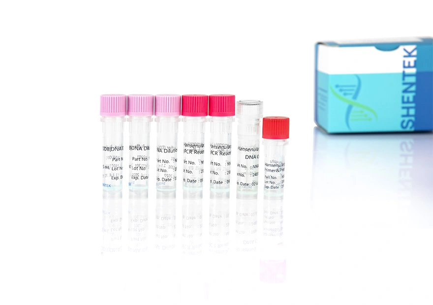 Rest Hansen ula Poly morpha DNA-Quant iation Kit