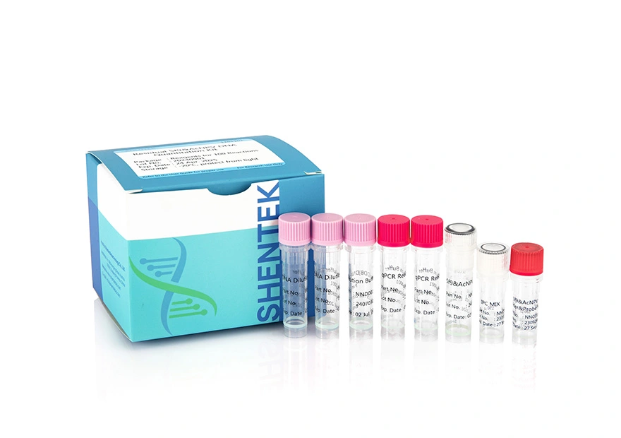Rest Sf9 & AcNPV DNA Quant iation Kit