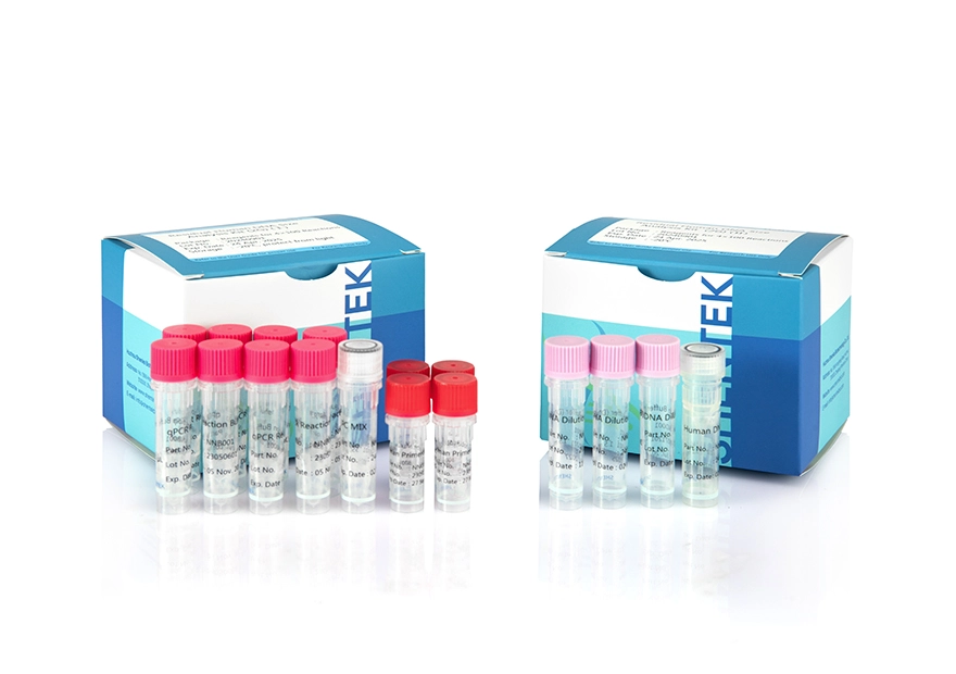 Rest-Analyse kit für menschliche DNA-Größe (2G)