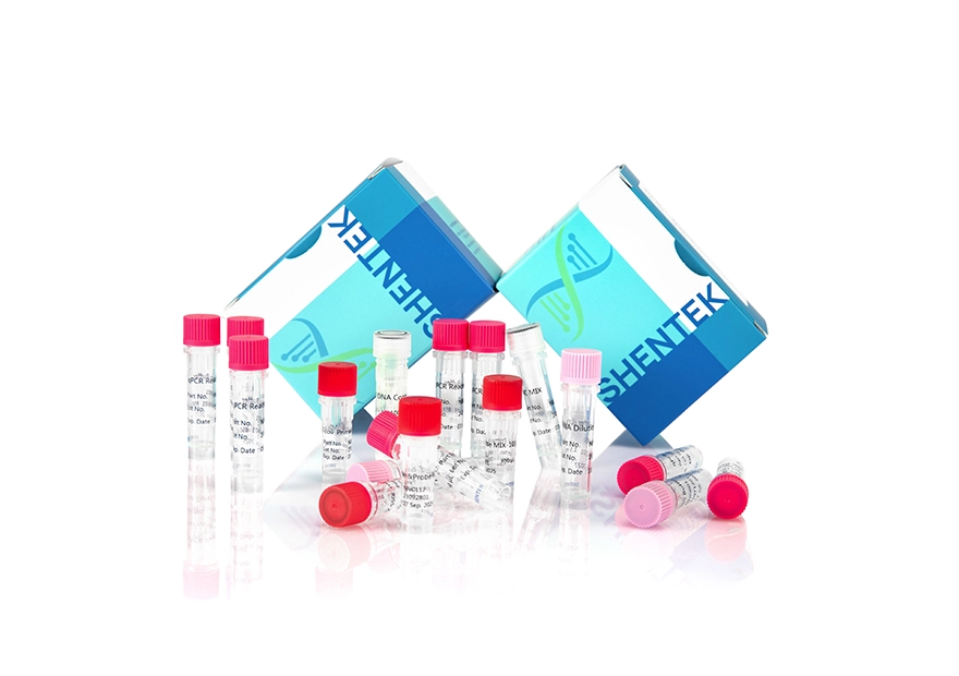 Rest-E. coli-DNA-Größen-Analyse-Kit (2G)