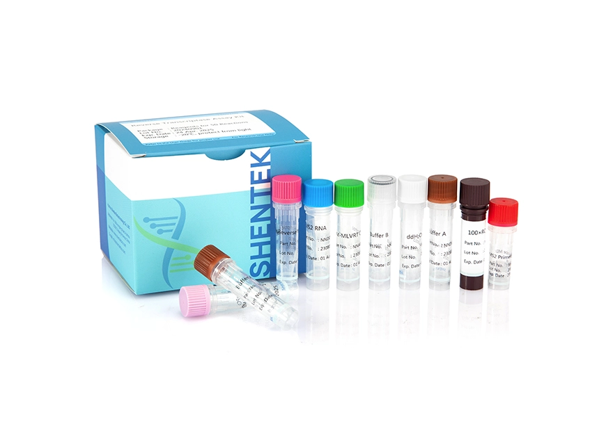 Umgekehrte Transkript ase Assay Kit
