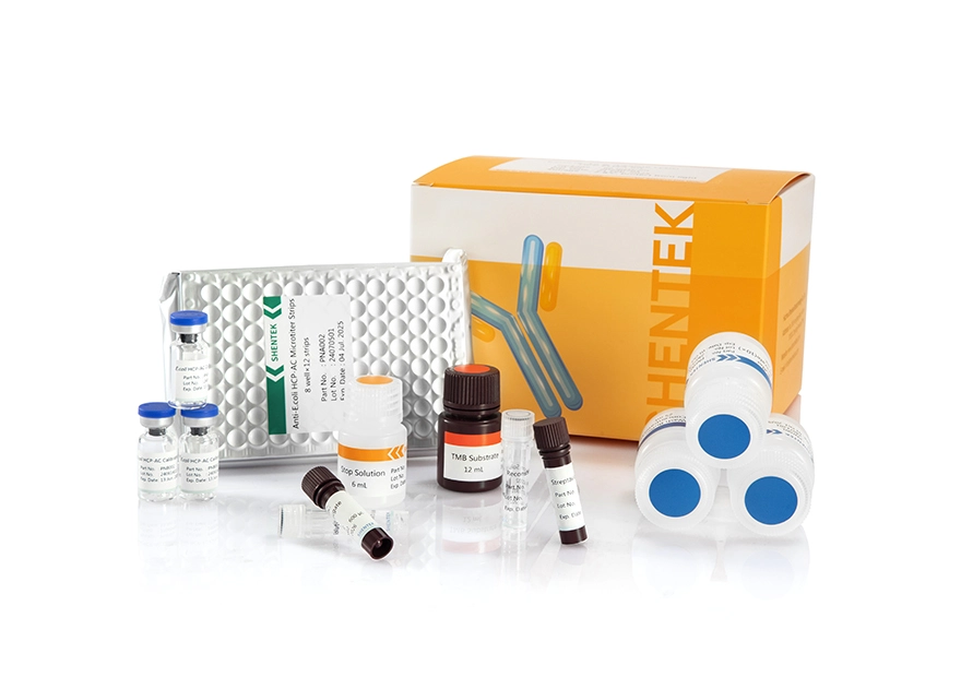 E.coli (K-12 & alkalische Lyse) HCP ELISA Kit