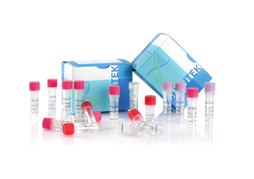 Rest HEK293 DNA Grösse Analyse kit