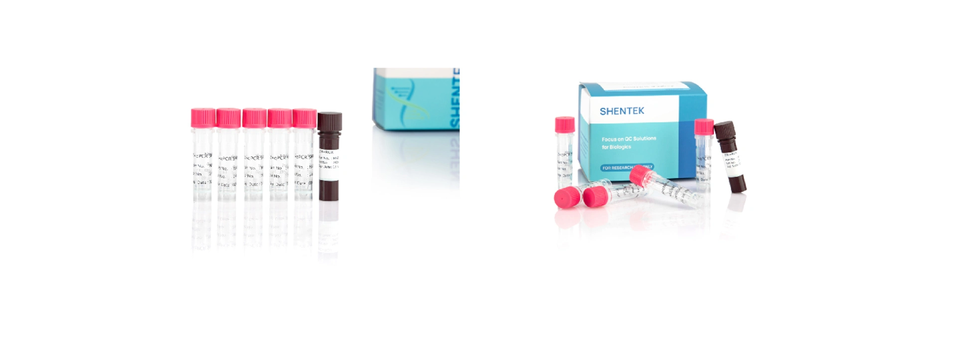 QPCR & dPCR Reagenzien