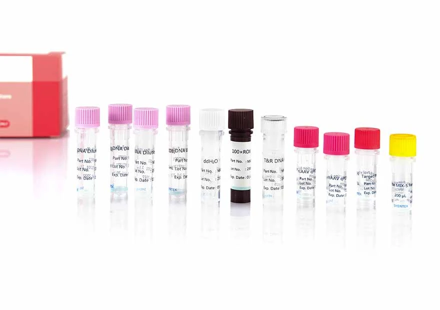 RcAAV-5/N-Quantitations-Kit