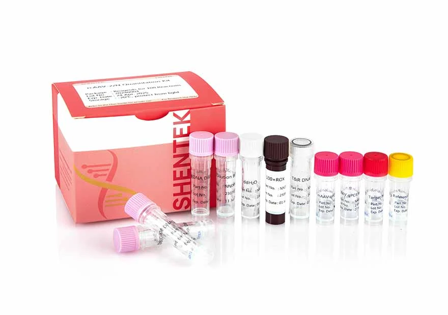 RcAAV-2/N-Quantitations-Kit