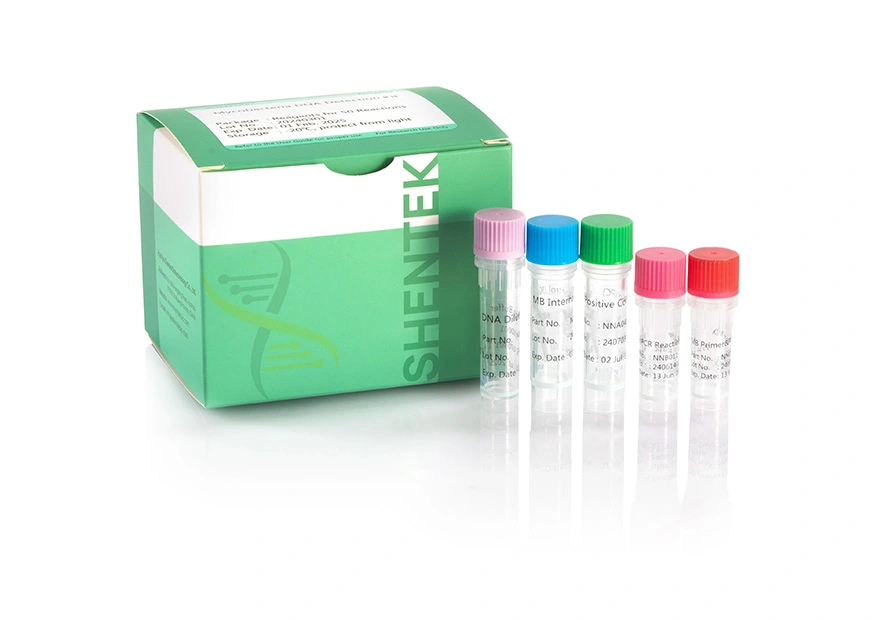 Myko bakterien DNA-Detektion skit