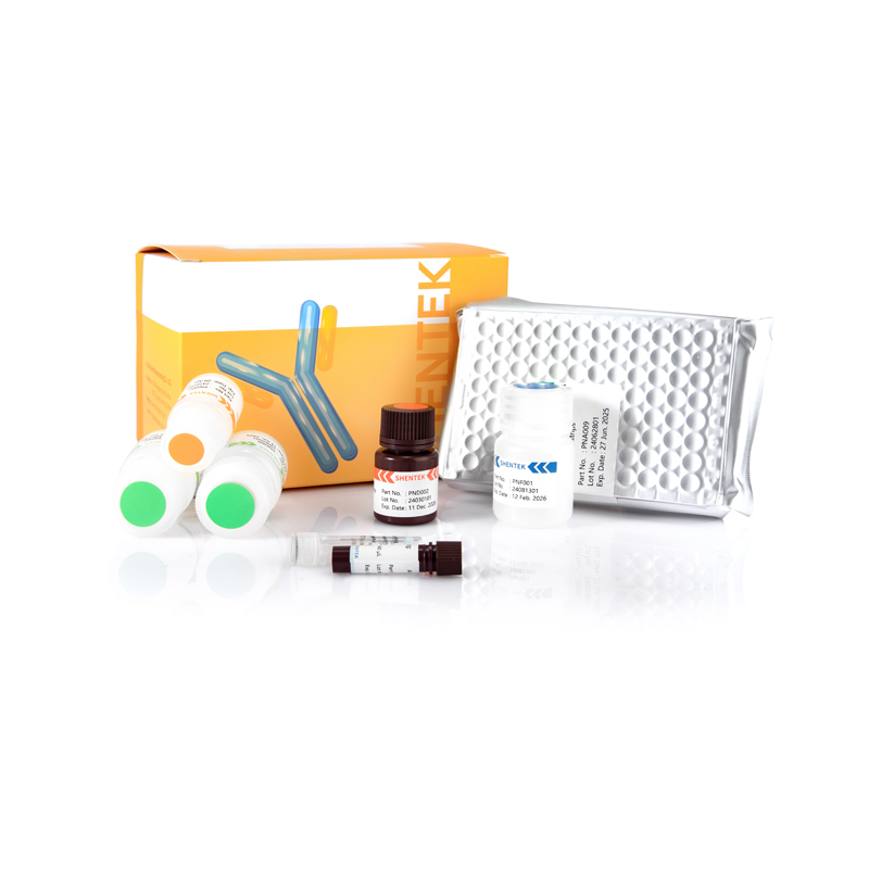 CHO K1 HCP ELISA Kit (einstufiger ELISA)