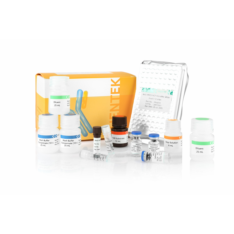 MDCK HCP ELISA Kit (einstufiger ELISA)