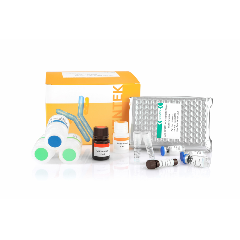 HEK293 HCP ELISA Kit (einstufiger ELISA)