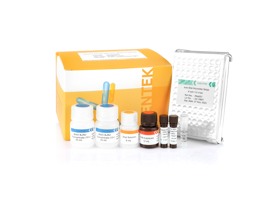 Rinder serum Albumin (BSA) ELISA-Kit