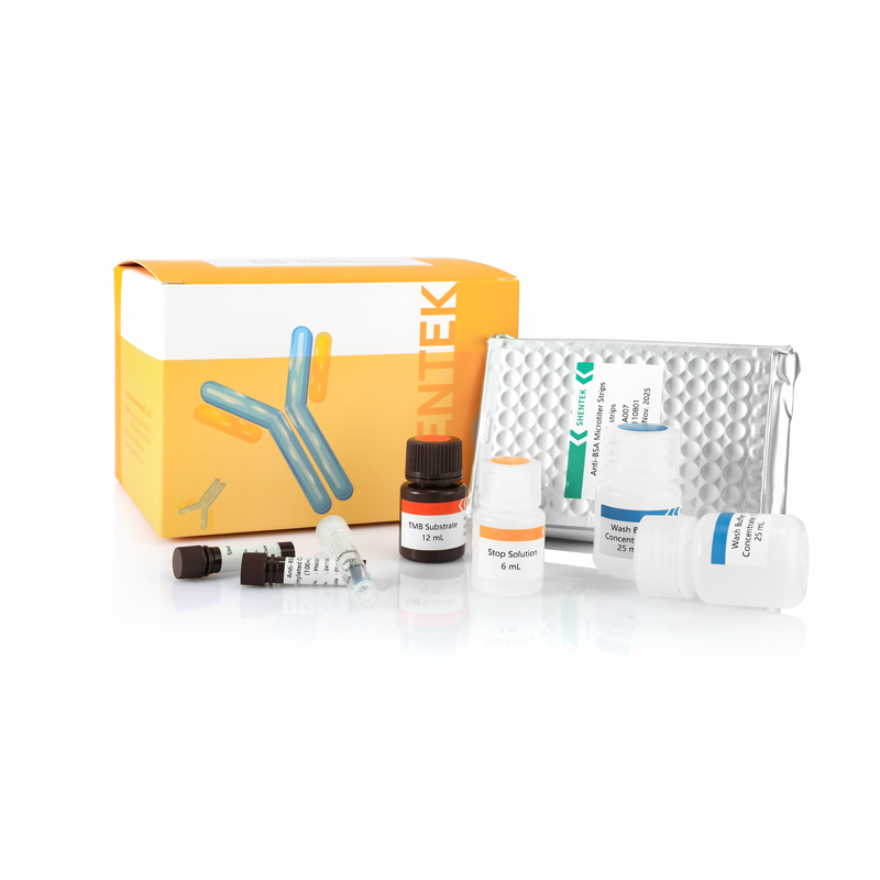Rinder serum Albumin (BSA) ELISA-Kit