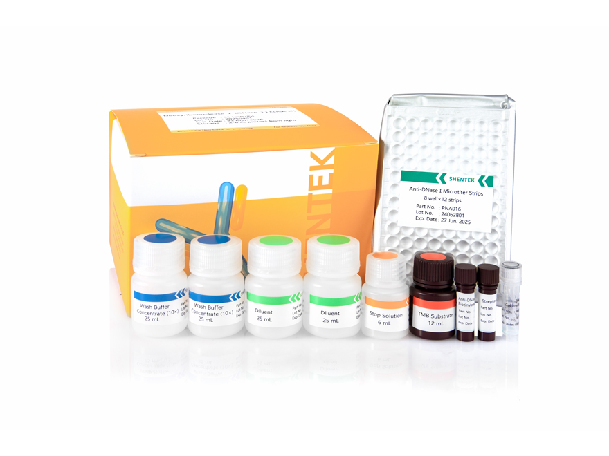 Desoxy ribon uk lease I (DNase) ELISA-Kit