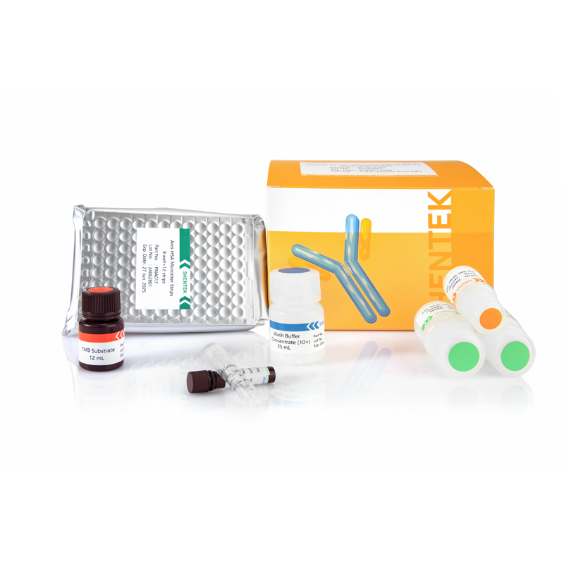 Menschliches Serum Albumin (HSA) ELISA-Kit (einstufiger ELISA)