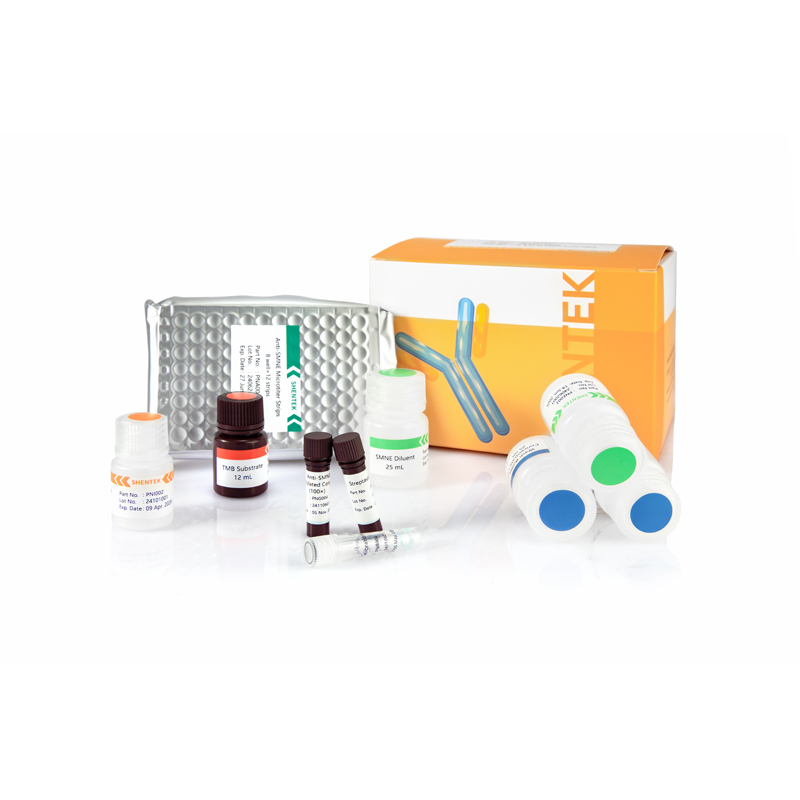 Nicht spezifisches Endo nuklease (SMNE) ELISA-Kit