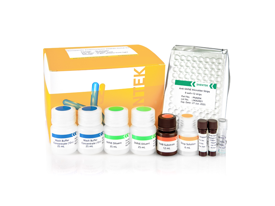 Nicht spezifisches Endo nuklease (SMNE) ELISA-Kit