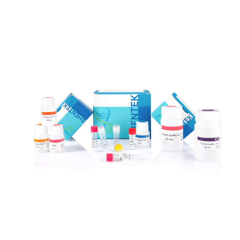 Rest-DNA-Proben vorbereitung skit tierischer Herkunft