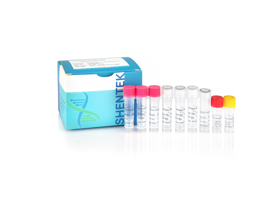 Rest-293T RNA-Quant iation Kit