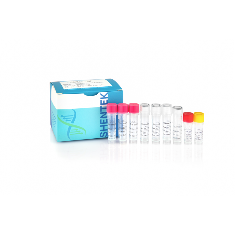Rest-293T RNA-Quant iation Kit