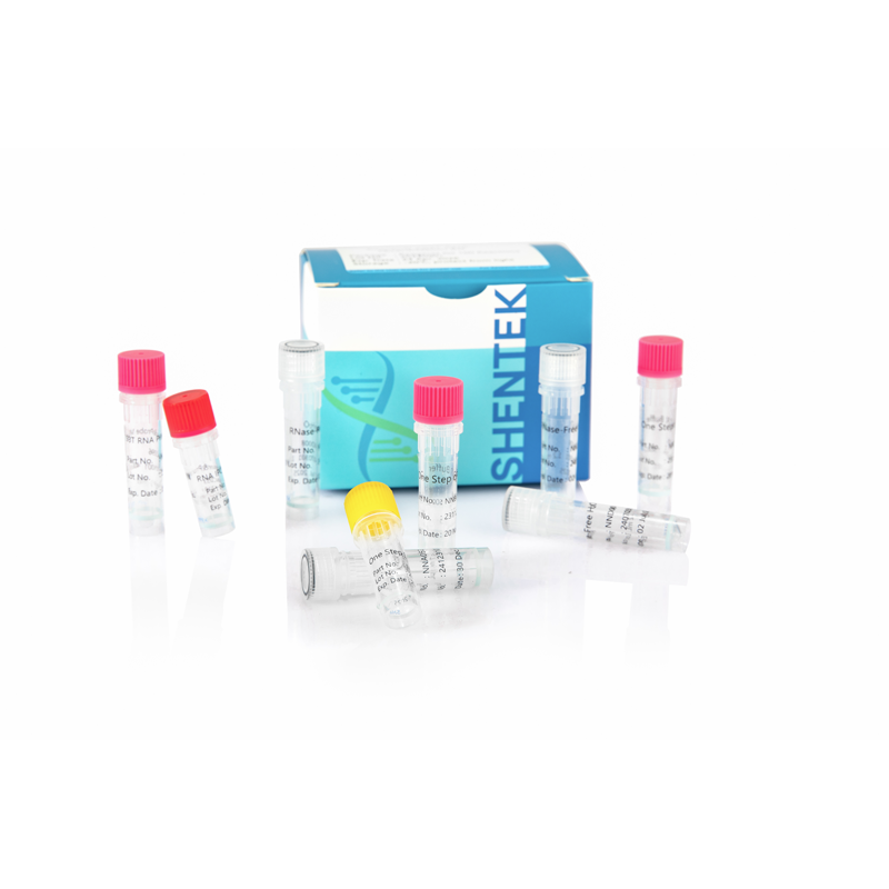 Rest-293T RNA-Quant iation Kit