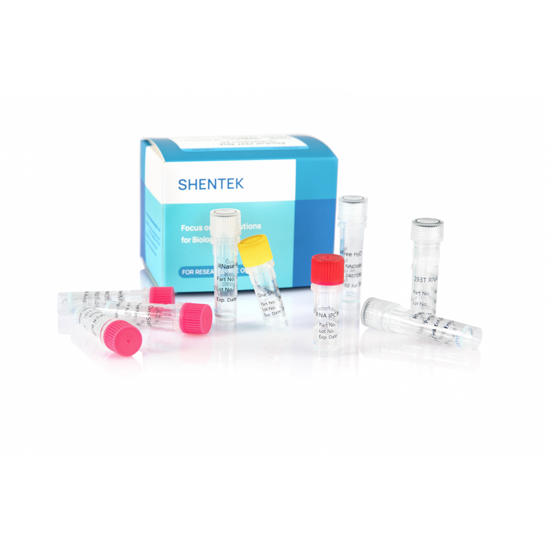 Rest-293T RNA-Quant iation Kit
