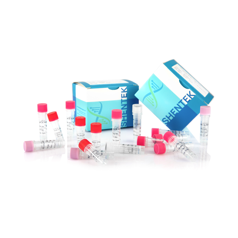 Rest-BHK-DNA-Größen-Analyse-Kit