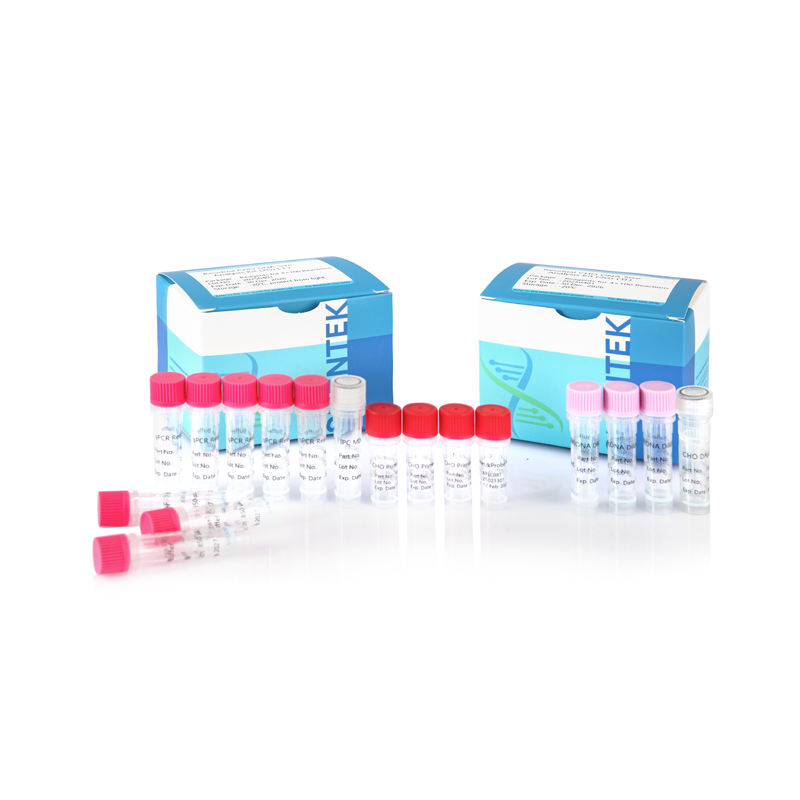 Rest-CHO-DNA-Größen-Analyse-Kit (2G)