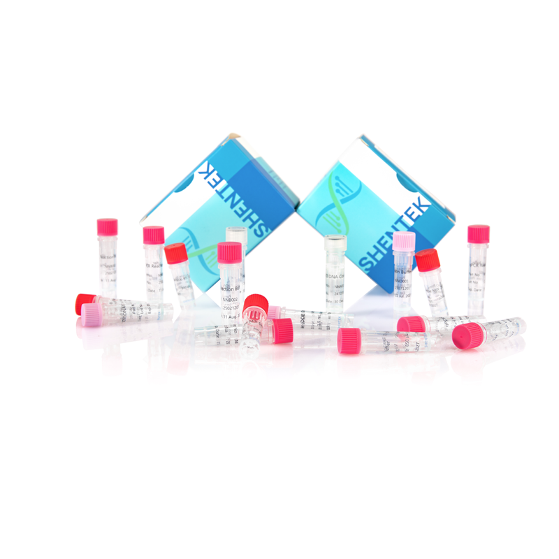 Rest-CHO-DNA-Größen-Analyse-Kit (2G)