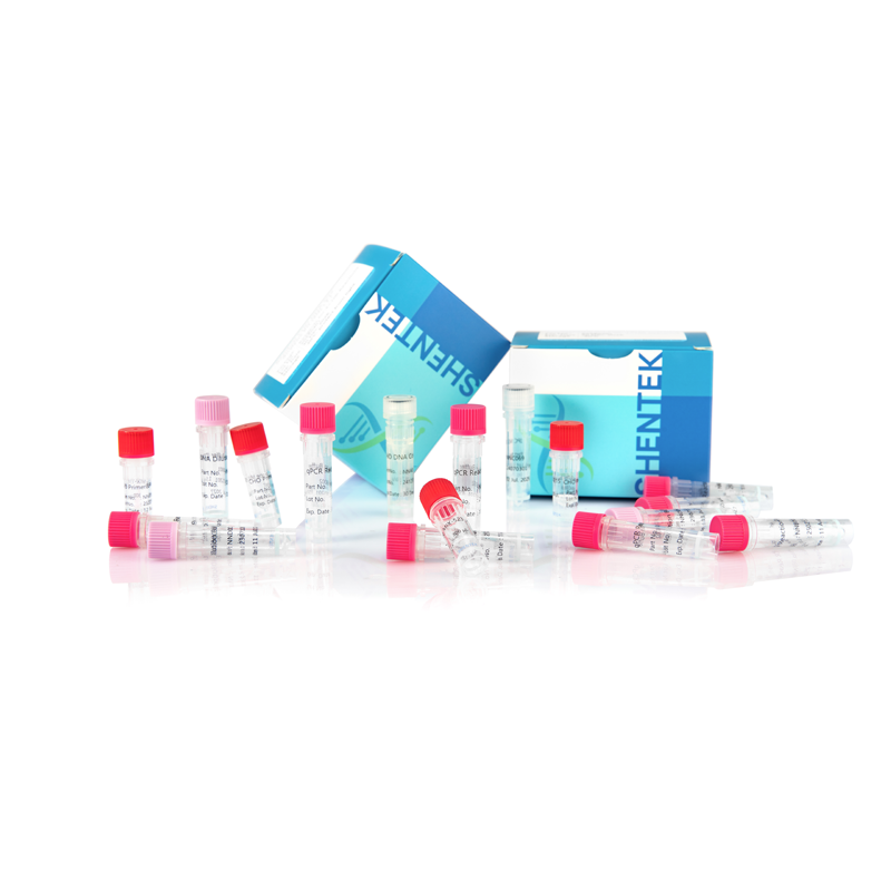 Rest-CHO-DNA-Größen-Analyse-Kit (2G)