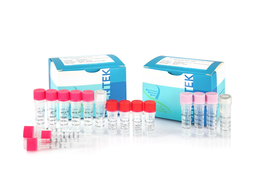 Rest-MDCK-DNA-Größen-Analyse-Kit