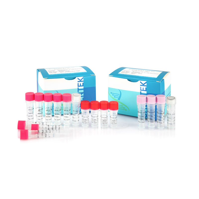 Rest-MDCK-DNA-Größen-Analyse-Kit