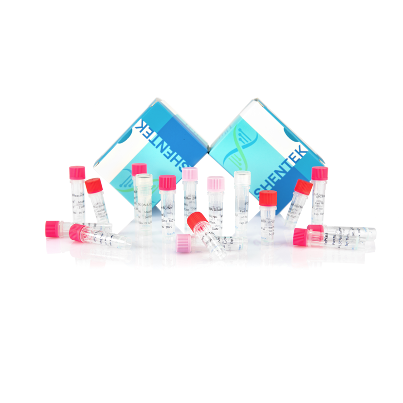 Rest-MDCK-DNA-Größen-Analyse-Kit