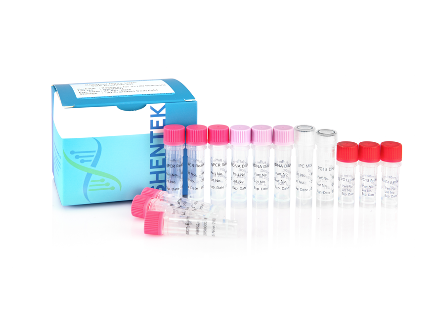 Rest-Analyse kit für DNA-Größe PG13
