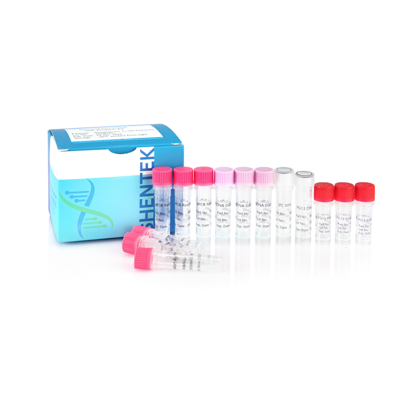 Rest-Analyse kit für DNA-Größe PG13