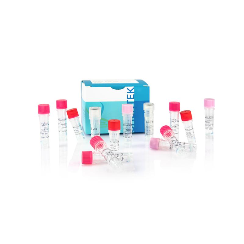 Rest-Analyse kit für DNA-Größe PG13