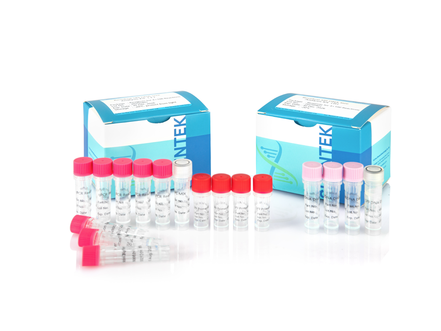 Rest-Sf9 Rest-DNA-Größe-Analyse-Kit