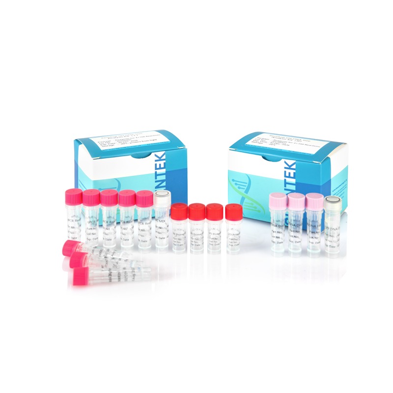 Rest-Sf9 Rest-DNA-Größe-Analyse-Kit