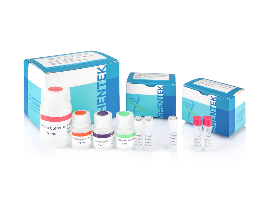 Rest-Wirtszell-DNA-Proben vorbereitung skit für Impfstoffe