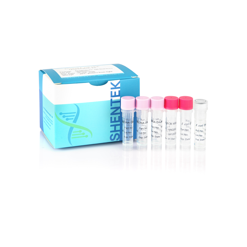 Rest E. coli DNA-Quant iation Kit